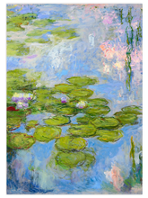 Claude Monet Water Lilies - Art Print